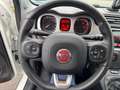 Fiat Panda City Cross Plus/AHK/Jahreswagenzustand Weiß - thumbnail 9