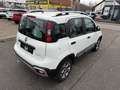 Fiat Panda City Cross Plus/AHK/Jahreswagenzustand Weiß - thumbnail 3