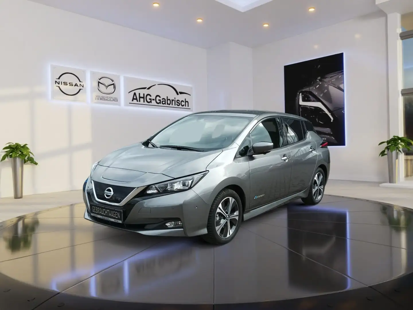 Nissan Leaf Tekna Option, Bose Sound System Grau - 1