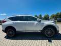 Honda CR-V 2.0 i-MMD HYBRID 4WD Executive "19Zoll AHK" Blanc - thumbnail 6