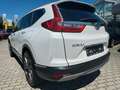 Honda CR-V 2.0 i-MMD HYBRID 4WD Executive "19Zoll AHK" Weiß - thumbnail 3