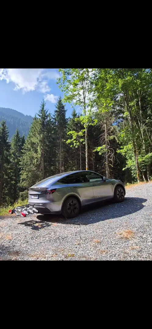 Tesla Model Y Gris - 1