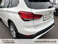 BMW X1 xDrive25e PHEV Aut. Weiß - thumbnail 8