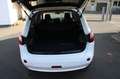 Nissan Qashqai +2 Tekna 4X4 7-Sitzer Pano Leder AHK Blanc - thumbnail 19