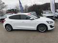 Ford Focus 1.0 EcoBoost 125ch Vignale Blanc - thumbnail 4