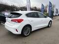 Ford Focus 1.0 EcoBoost 125ch Vignale Blanc - thumbnail 5