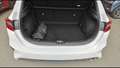 Kia Ceed / cee'd PULSE 1.0T 120 CV Blanc - thumbnail 5