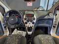 Ford Ka/Ka+ 1.2 8V 69CV GPL Bianco - thumbnail 11