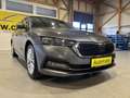 Skoda Octavia 2,0DSG LED VIRTUAL COCKPIT HEAD-UP-DISPLAY AHK Grau - thumbnail 6