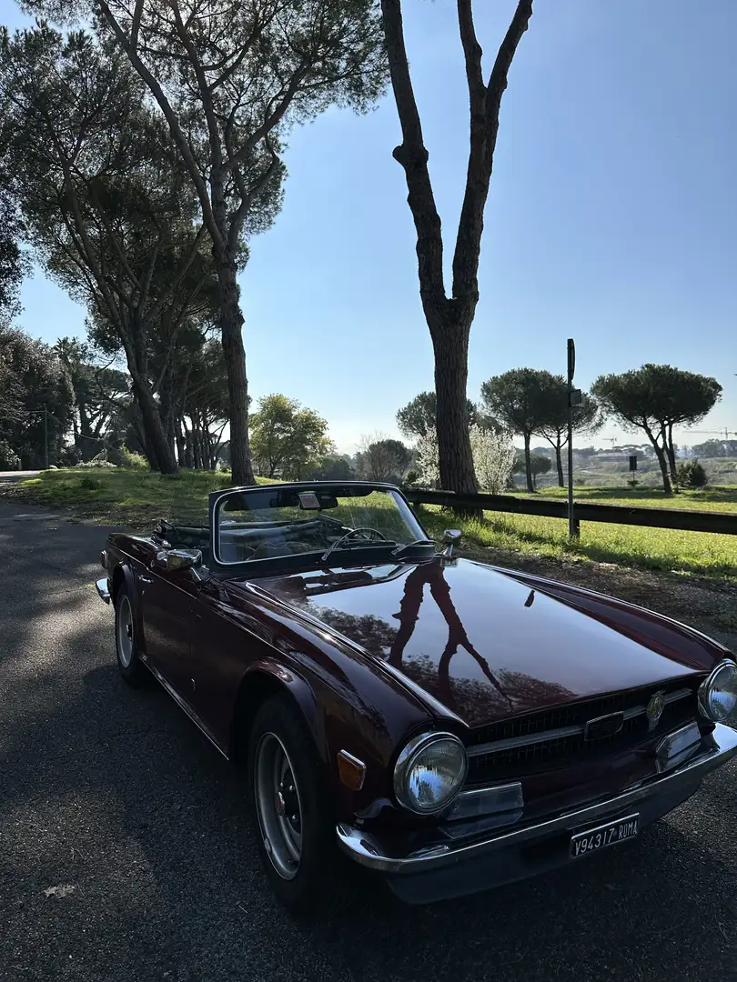 Triumph TR6 - 1