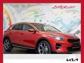 Kia XCeed Xceed 1,0 TGDI GPF Gold *LED, NAVI, RFK, TEILLE... Rot - thumbnail 1