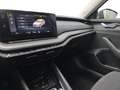 Skoda Octavia Ambition TDI DSG Grau - thumbnail 16