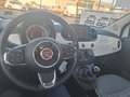 Fiat 500 1.2 Lounge | Pano Dak | 15" Lichtmetalen Velgen | Wit - thumbnail 5