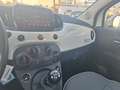 Fiat 500 1.2 Lounge | Pano Dak | 15" Lichtmetalen Velgen | Wit - thumbnail 14