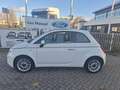 Fiat 500 1.2 Lounge | Pano Dak | 15" Lichtmetalen Velgen | Wit - thumbnail 4