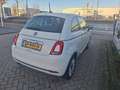 Fiat 500 1.2 Lounge | Pano Dak | 15" Lichtmetalen Velgen | Wit - thumbnail 8
