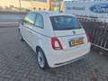 Fiat 500 1.2 Lounge | Pano Dak | 15" Lichtmetalen Velgen | Wit - thumbnail 6