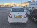 Fiat 500 1.2 Lounge | Pano Dak | 15" Lichtmetalen Velgen | Wit - thumbnail 7