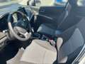 Suzuki S-Cross 1.4 MHEV ALLGR SHINE Aut. Silber - thumbnail 15