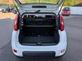 Fiat Panda 1.2 EasyPower City Life GPL Wit - thumbnail 9