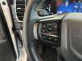 Ford Ranger WILDTRAK AWD AUTOMAAT+TAL VAN OPTIES-37900+BTW Blanc - thumbnail 10