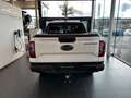 Ford Ranger WILDTRAK AWD AUTOMAAT+TAL VAN OPTIES-37900+BTW Blanc - thumbnail 4