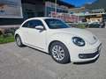 Volkswagen Beetle Beetle 1,2 TSI BMT Weiß - thumbnail 7
