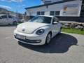 Volkswagen Beetle Beetle 1,2 TSI BMT Weiß - thumbnail 6
