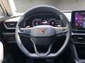 CUPRA Formentor 1.5 TSI LED Keyless Entry Wit - thumbnail 10