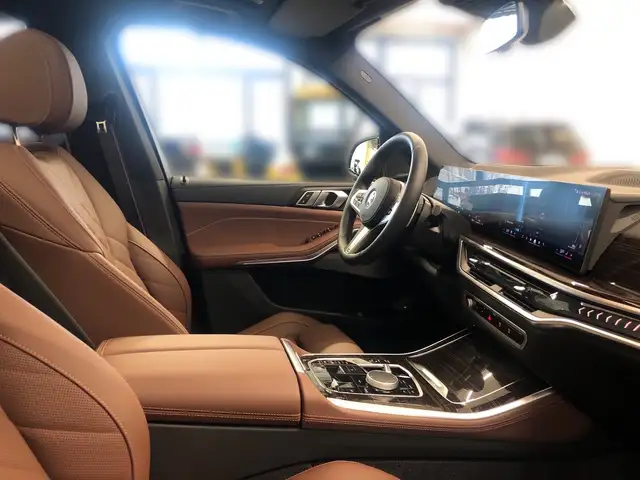 BMW X5 xDrive50e Ansicht 13