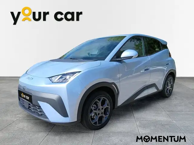 BYD Dolphin Surf