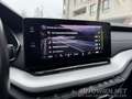 Skoda Octavia 2,0 TDI PREMIUM DSG | MATRIX LED | HEAD-UP|VIRTUAL Grau - thumbnail 9