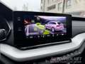 Skoda Octavia 2,0 TDI PREMIUM DSG | MATRIX LED | HEAD-UP|VIRTUAL Grau - thumbnail 8