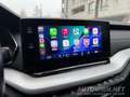 Skoda Octavia 2,0 TDI PREMIUM DSG | MATRIX LED | HEAD-UP|VIRTUAL Grau - thumbnail 11