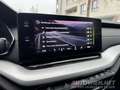 Skoda Octavia 2,0 TDI PREMIUM DSG | MATRIX LED | HEAD-UP|VIRTUAL Grau - thumbnail 10