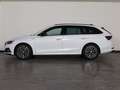 Skoda Octavia wagon 2.0 tdi evo sportline 150cv dsg Weiß - thumbnail 3