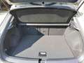 Volkswagen T-Roc 1.0 TSI LIFE *ACC *LED *SHZ *VIRTUAL *LM * Grijs - thumbnail 9