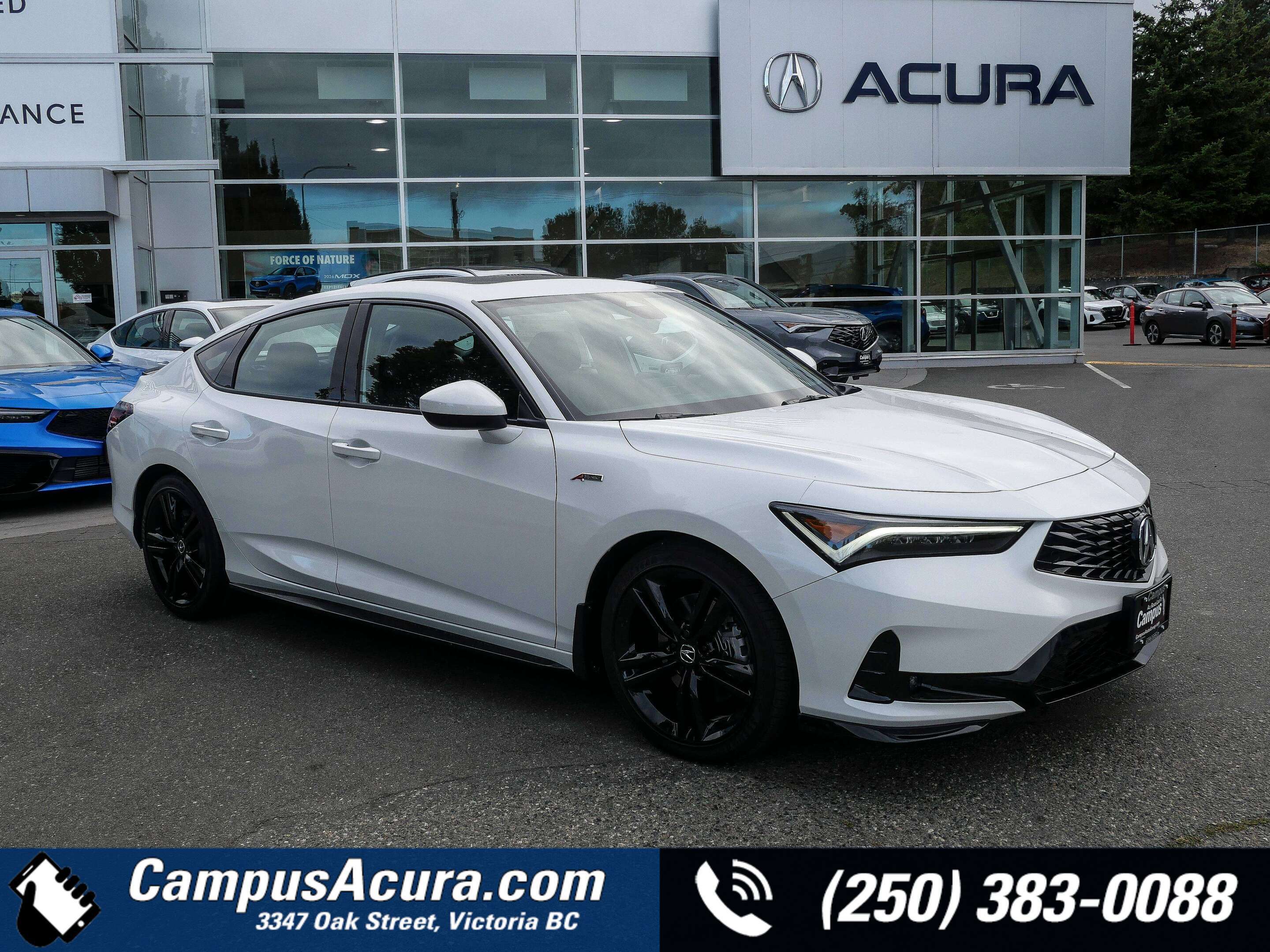 White 2026 Acura Integra Hatchback Front-Wheel Drive Automatic