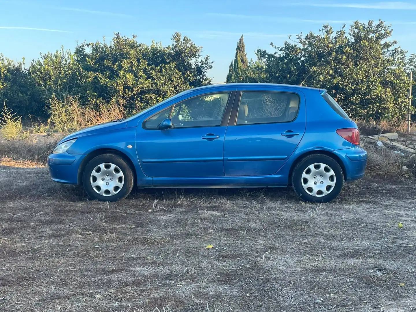 Peugeot 307 307 1.4HDI XR XR Azul - 2
