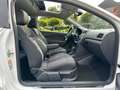 Volkswagen Polo 1.2 TSI Highline, Pano, Camera, DSG Automaat! Wit - thumbnail 21