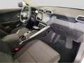 MG ZS Hybrid+ Comfort - thumbnail 12