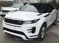Rover Rover Weiß - thumbnail 7