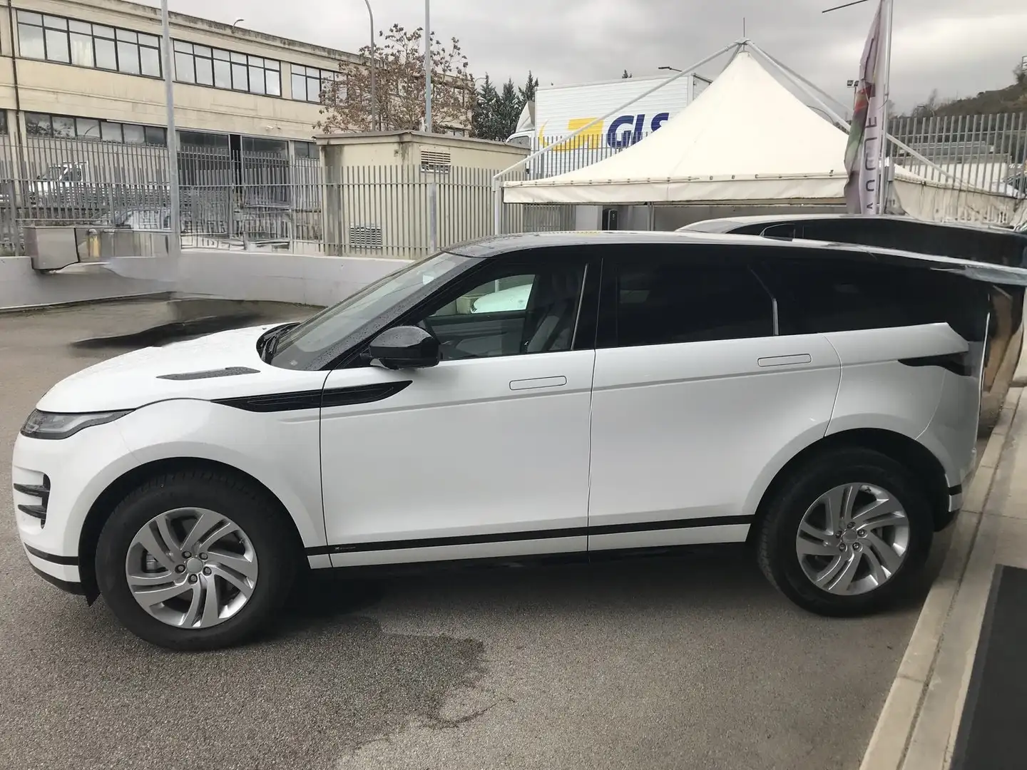 Rover Rover Weiß - 1