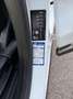 Ford Puma 1.0 EcoBoost 125 CV S&S Titanium X Bianco - thumbnail 13