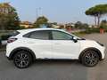 Ford Puma 1.0 EcoBoost 125 CV S&S Titanium X Bianco - thumbnail 6