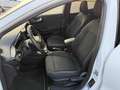 Ford Puma 1.0 EcoBoost 125 CV S&S Titanium X Bianco - thumbnail 12