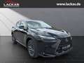 Lexus NX 350h 243 PS *Executive* Interieur Paket + Technologie P Schwarz - thumbnail 7