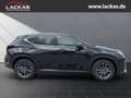 Lexus NX 350h 243 PS *Executive* Interieur Paket + Technologie P Schwarz - thumbnail 6