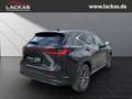 Lexus NX 350h 243 PS *Executive* Interieur Paket + Technologie P Schwarz - thumbnail 5