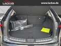 Lexus NX 350h 243 PS *Executive* Interieur Paket + Technologie P Schwarz - thumbnail 19